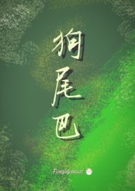 狗尾巴有白毛有什么寓意