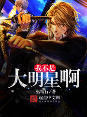 我不是大明星 小说