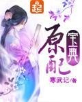 原配宝典txt百度云