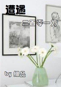 遭遇二百零一万