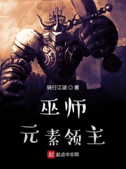 巫师:元素领主小说