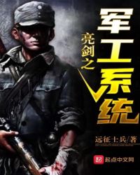 亮剑之军工 小说