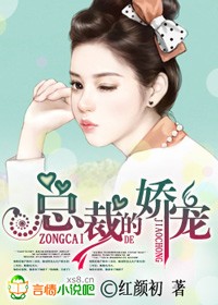 总裁的娇宠妻TXT百度云下载