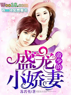 女总裁的贴身战兵楚天小说