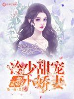 一眼定情:冷少甜宠小娇妻免费阅读