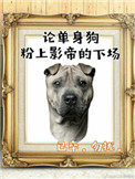 影帝酷爱撒糖百度云