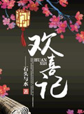 欢喜记小说
