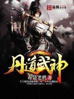 丹道武神 小说