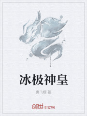 冰极神皇小说阅读