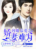 闪婚娇妻超甜哒