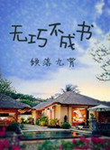 无巧不成书小说
