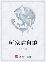 玩家请自重讲的什么