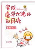 穿成虐哭大佬的白月光 快穿免费