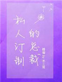 私人订制的总裁TXT下载