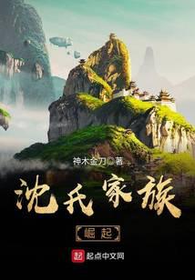 小说沈氏家族崛起