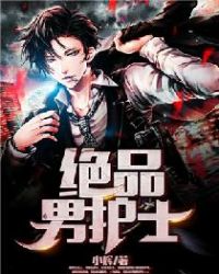 绝品男护士完整版小说阅读