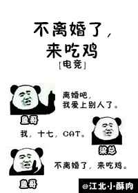不离婚了来吃鸡全文免费阅读