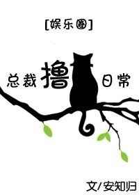 总裁的猫