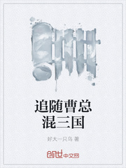 追随曹总混三国