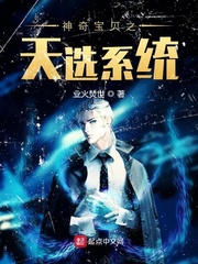 神奇宝贝之天狂系统