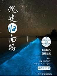 小说沉光归南路