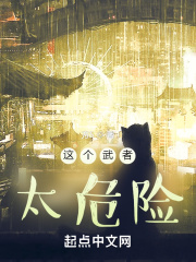 这个武者太危险TXT