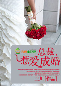 惹爱成婚小说免费阅读