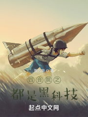 四合院小说是什么