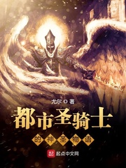 都市圣骑士的神圣物语免费阅读