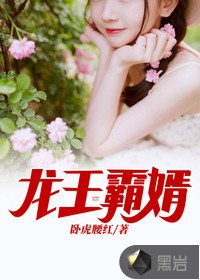 龙王婿百科