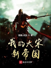 我的新大明帝国小说