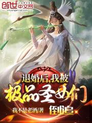 我被极品圣女们倒追下载