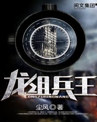 龙组兵王TXT下载