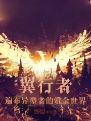 深圳翼行者科技有限公司