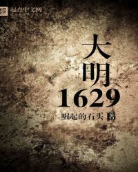 大明1629下载