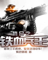 抗日之铁血兵王TXT下载