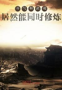 斗气武魂小说