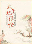太子妃很忙(清穿)