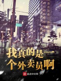 我真的只是个外卖骑手小说