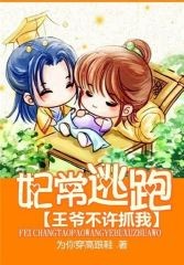 王爷别乱来