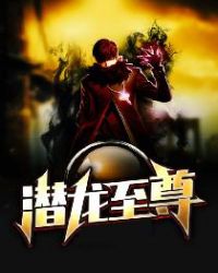 陈庆之苏晚盈唐三葬