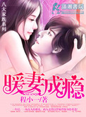 暖妻成瘾讲的什么
