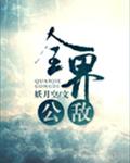 全界公敌cp