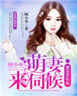 boss的呆萌妻子