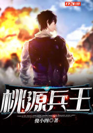 桃园兵书