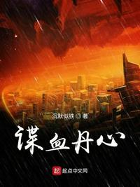 小说谍血丹心
