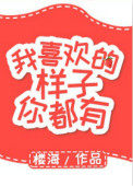 我喜欢的样子你都有小说福禄丸子