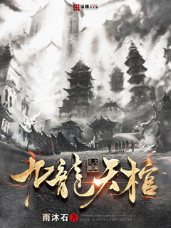 邪王盛宠：神医王妃不好追凌婧