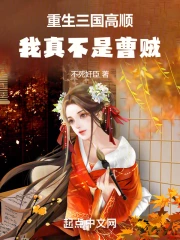 穿越三国之我是高顺
