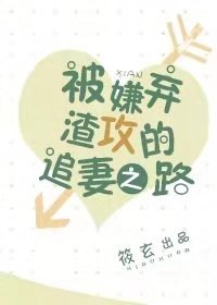 被嫌弃渣攻的追妻之路 小说